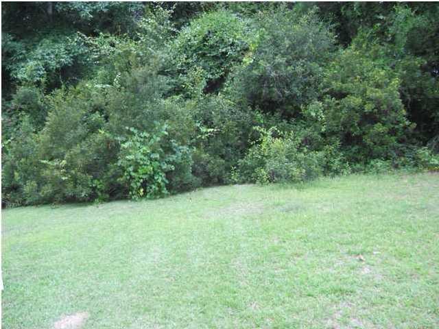 0 Springbrook Court Summerville, SC 29485 - Photo 3 of 19 High & Dry