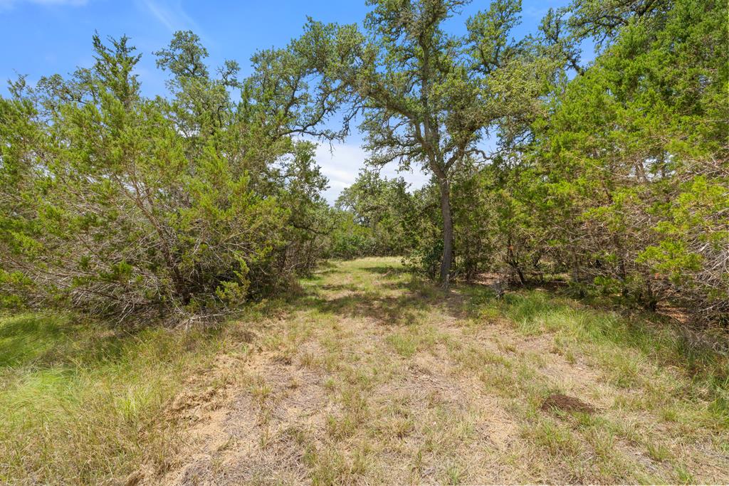 577 Rocky River Road, Unit 8 Blanco, TX 78606 - Photo 9 of 14 Level Building Site