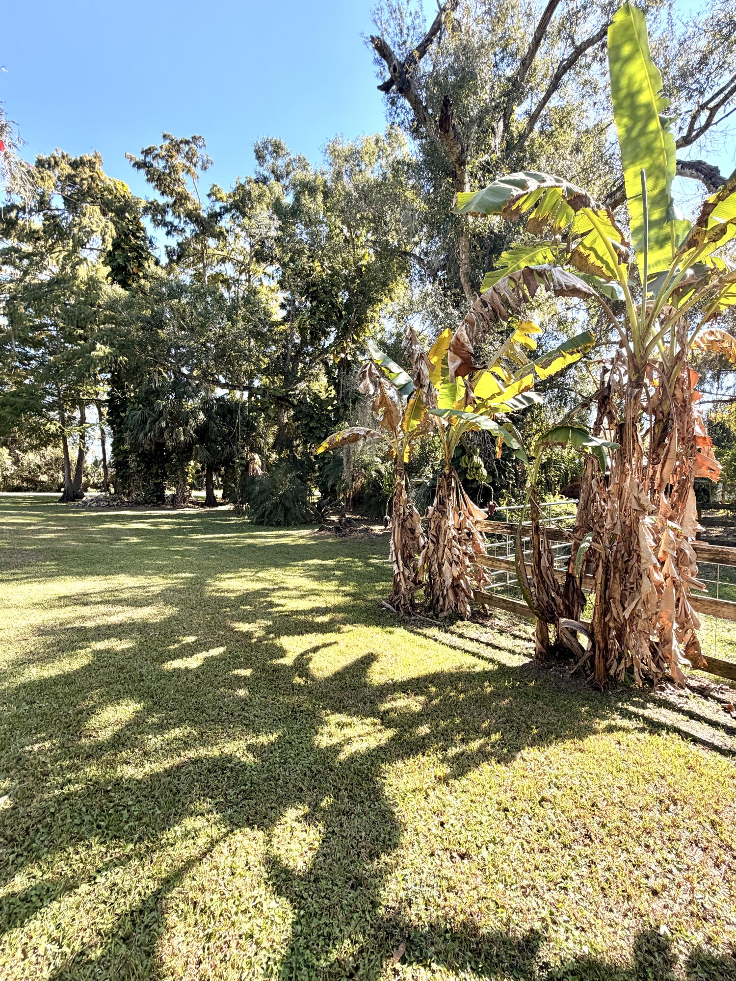 505 Southeast 18th Way Okeechobee, FL 34974 - Photo 51 of 53 52