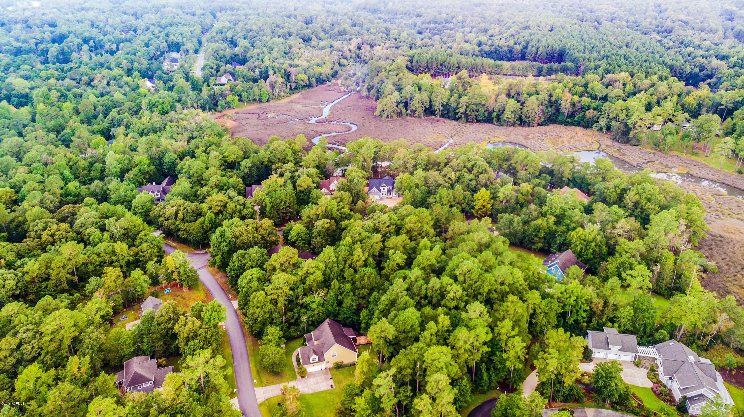 Lot 58 Pond Road Rocky Point, NC 28457 - Photo 21 of 22 DJI_0670