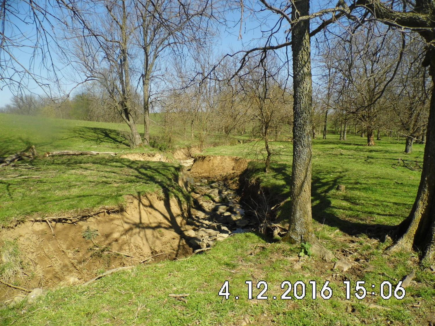 2201 Webster Road Danville, KY 40422 - Photo 8 of 18 Photo 8