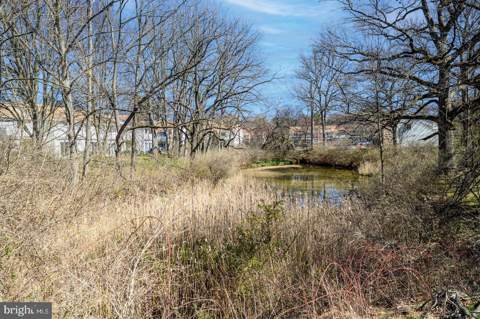 1181 Heyward Road Chesterbrook, PA 19087 - Photo 7 of 32 View of the back yard