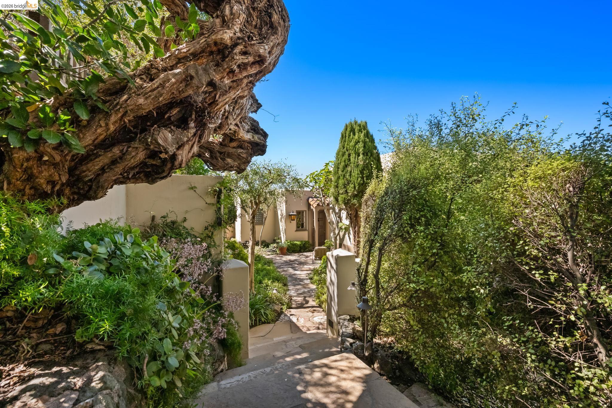 1004 Cragmont Avenue Berkeley, CA 94708 - Photo 2 of 57