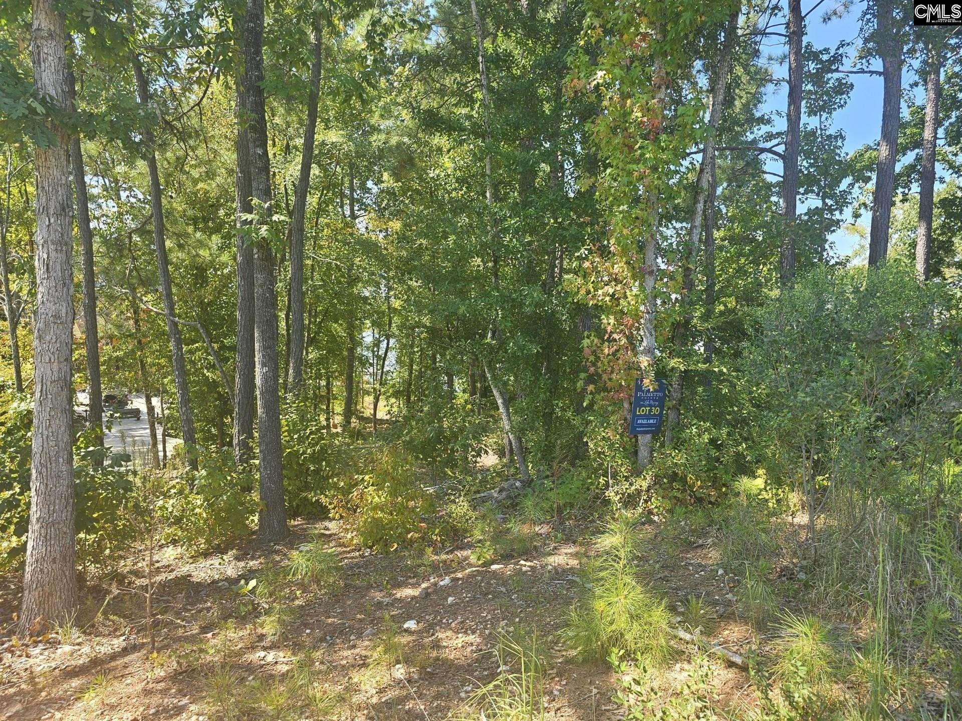 Lot # Longview Drive Prosperity, SC 29127 - Photo 6 of 11