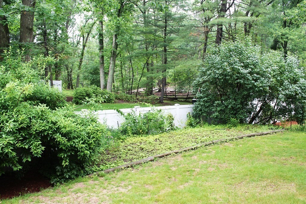 56 Chandler Road Burlington, MA 01803 - Photo 20 of 22 Gallery Image 20