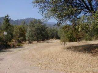 0 Bender Road Igo, CA 96047 - Photo 3 of 3 a view of a yard with a tree