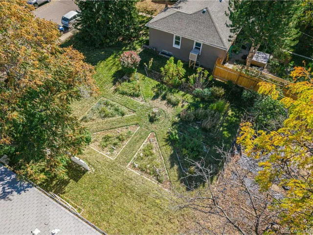 a view of a garden with plants