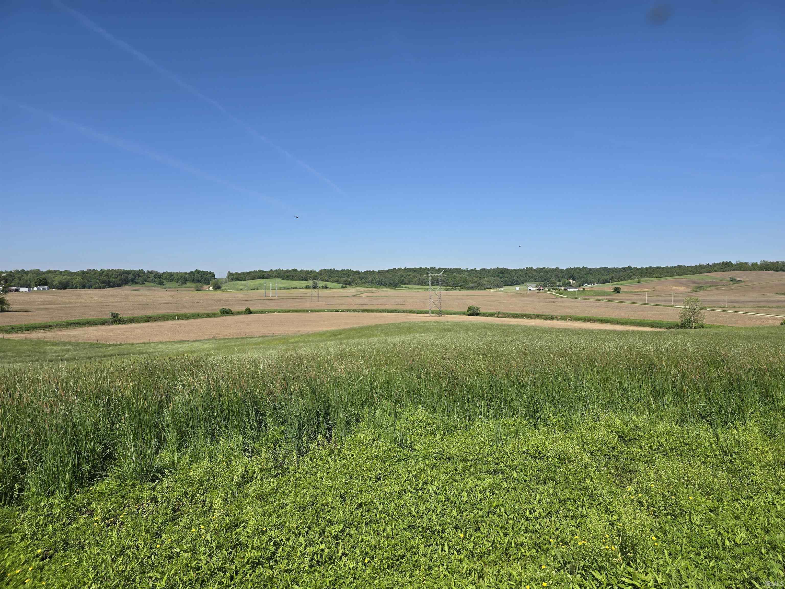 25 /- Acres Wildman Road Loogootee, IN 47553 - Photo 2 of 8