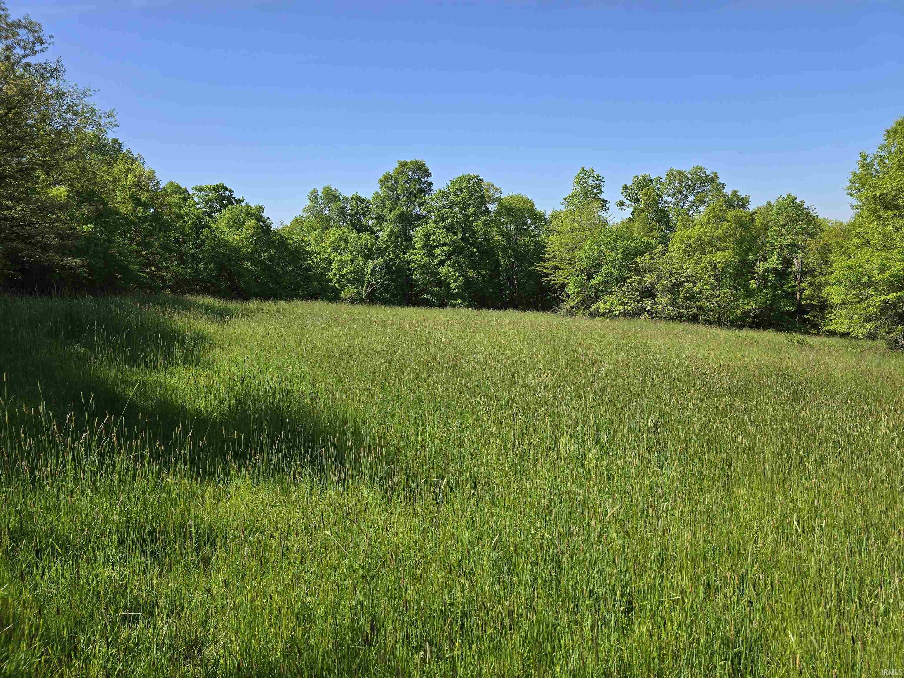 25 /- Acres Wildman Road Loogootee, IN 47553 - Photo 3 of 8