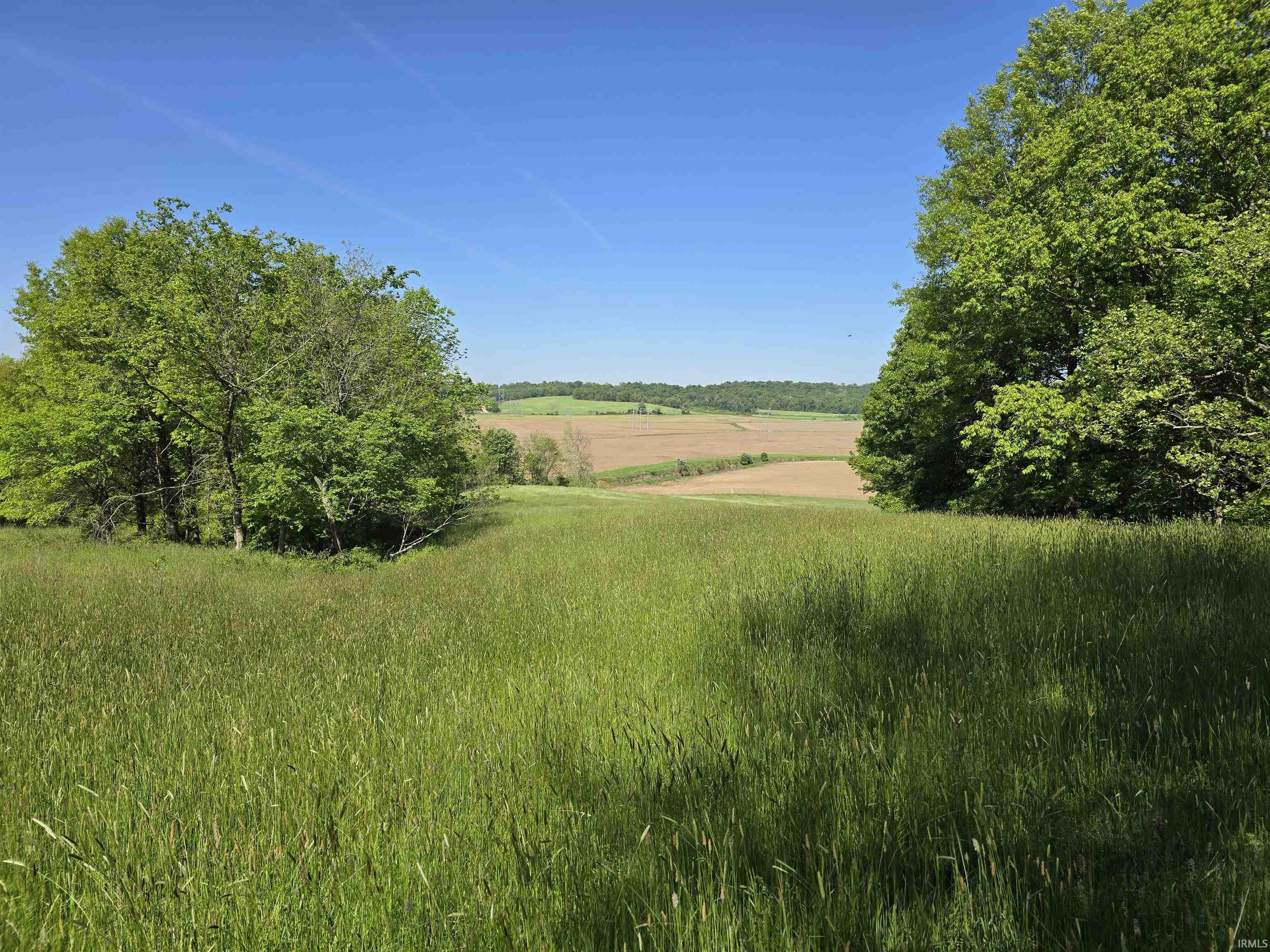 25 /- Acres Wildman Road Loogootee, IN 47553 - Photo 4 of 8