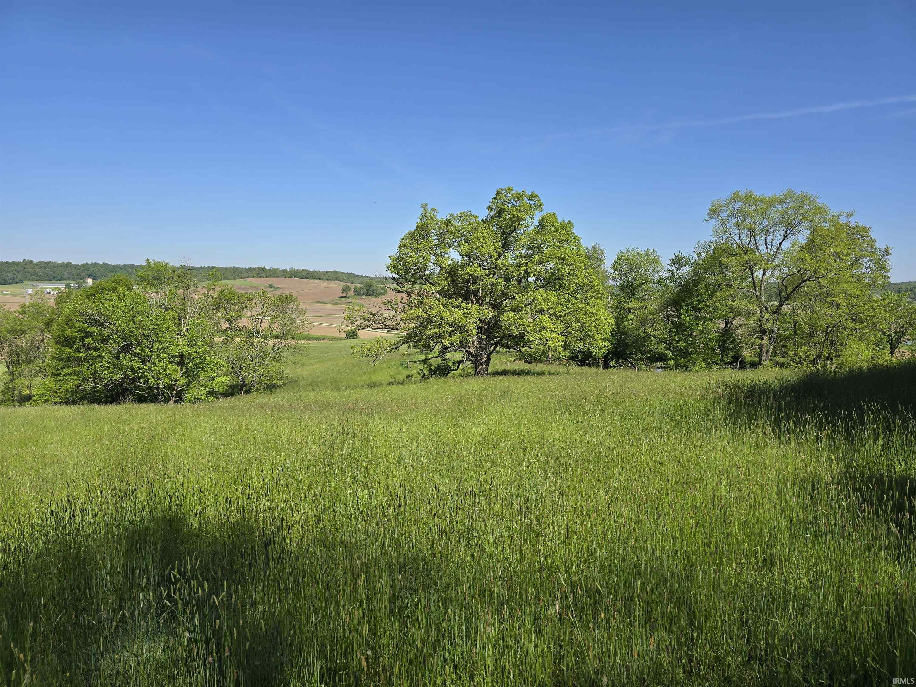 25 /- Acres Wildman Road Loogootee, IN 47553 - Photo 5 of 8