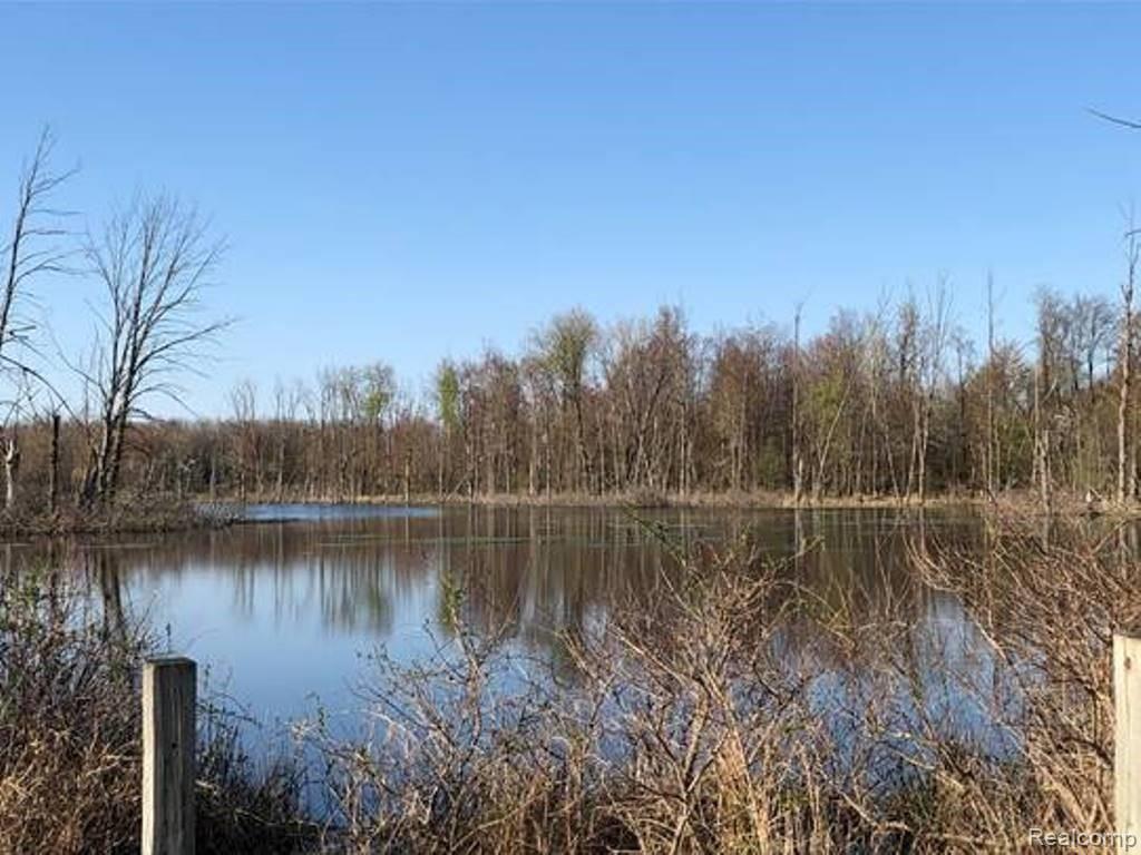 4528 Stewart Road Metamora, MI 48455 - Photo 20 of 20 image003 (1).jpg
