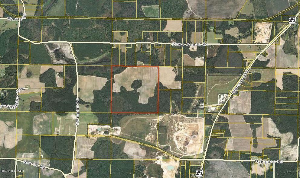 Tbd Springhill Road Graceville, FL 32440 - Photo 2 of 4
