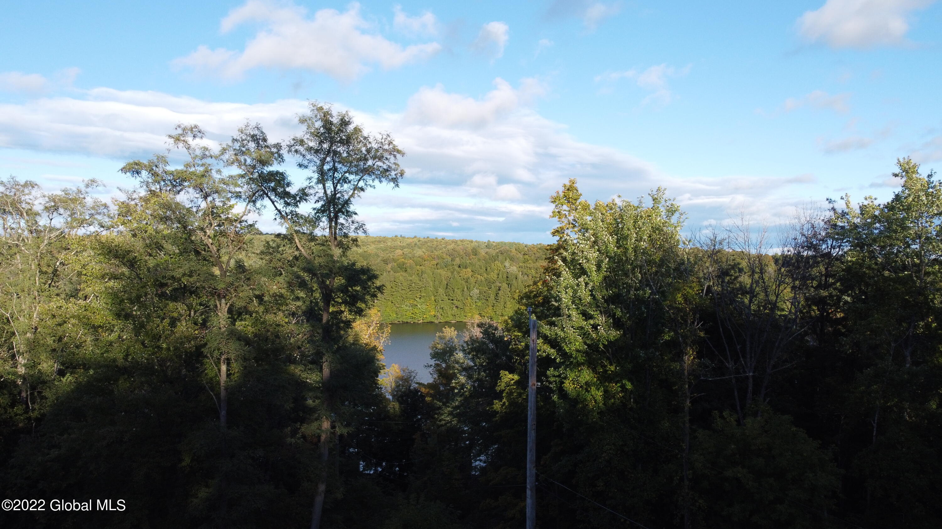 44 Abbey Road Berne, NY 12023 - Photo 16 of 118 DJI_0166