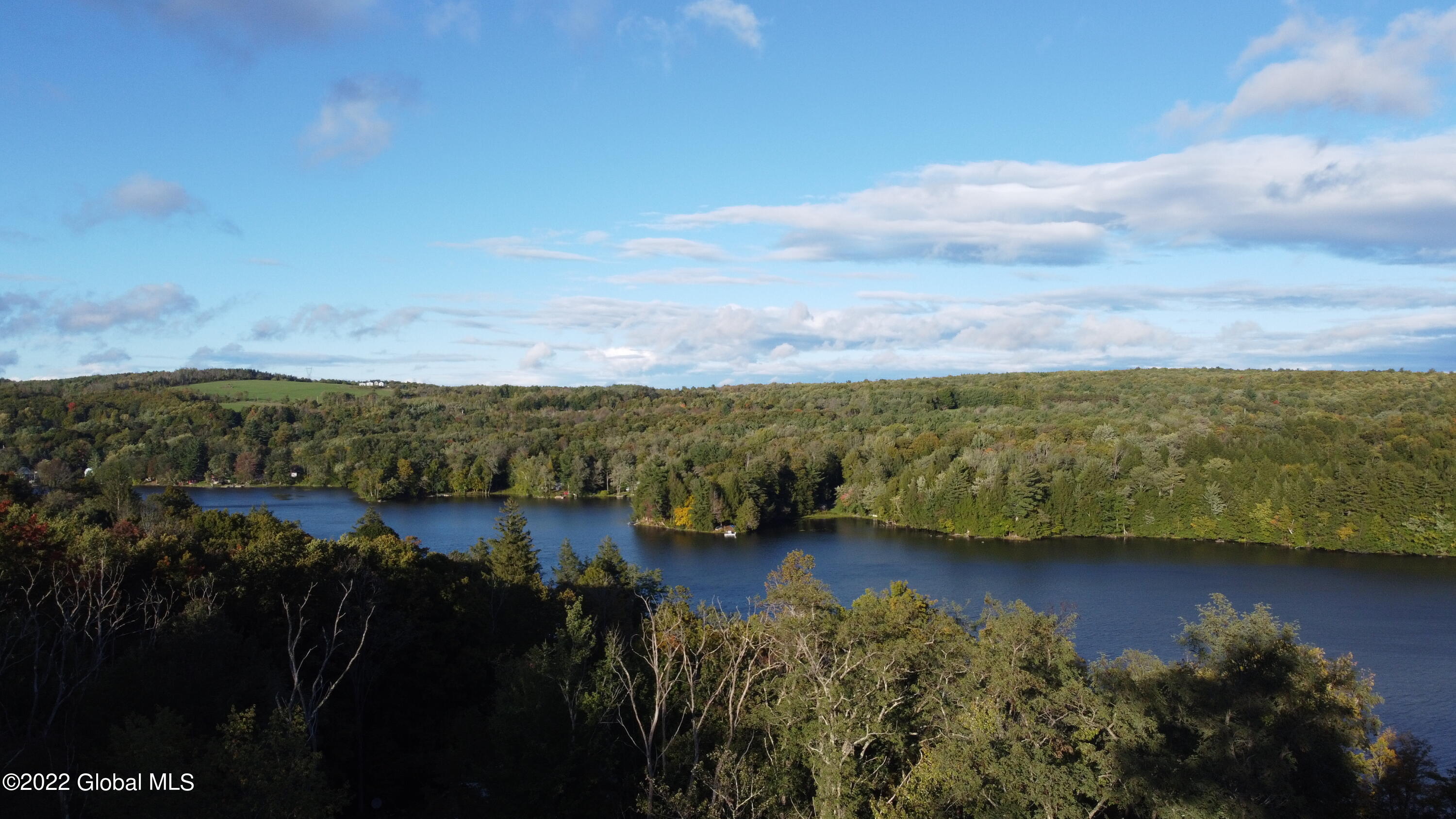 44 Abbey Road Berne, NY 12023 - Photo 18 of 118 DJI_0168