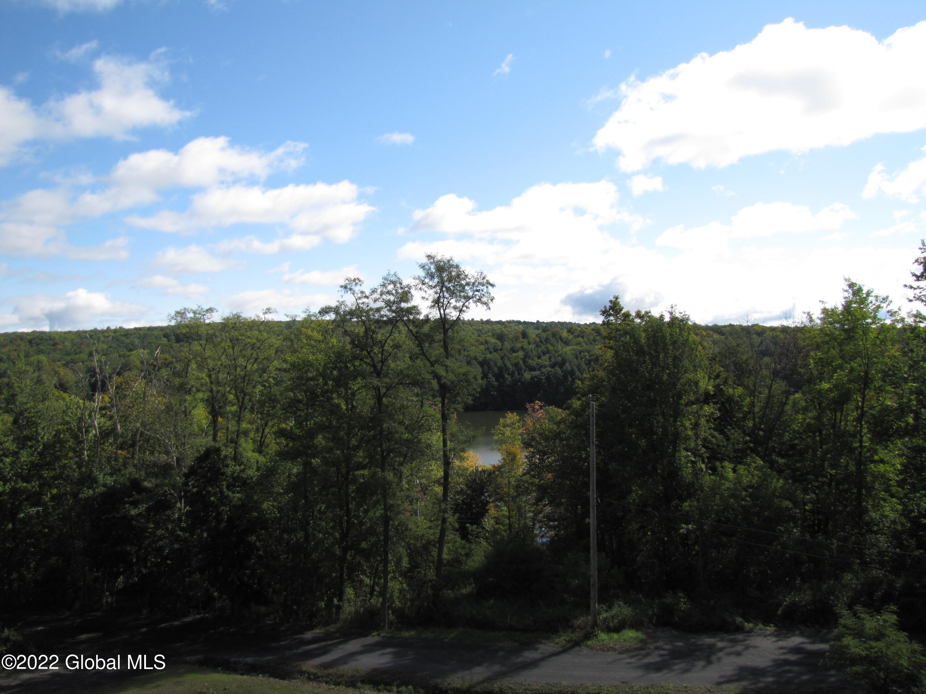 44 Abbey Road Berne, NY 12023 - Photo 53 of 118 IMG_3849
