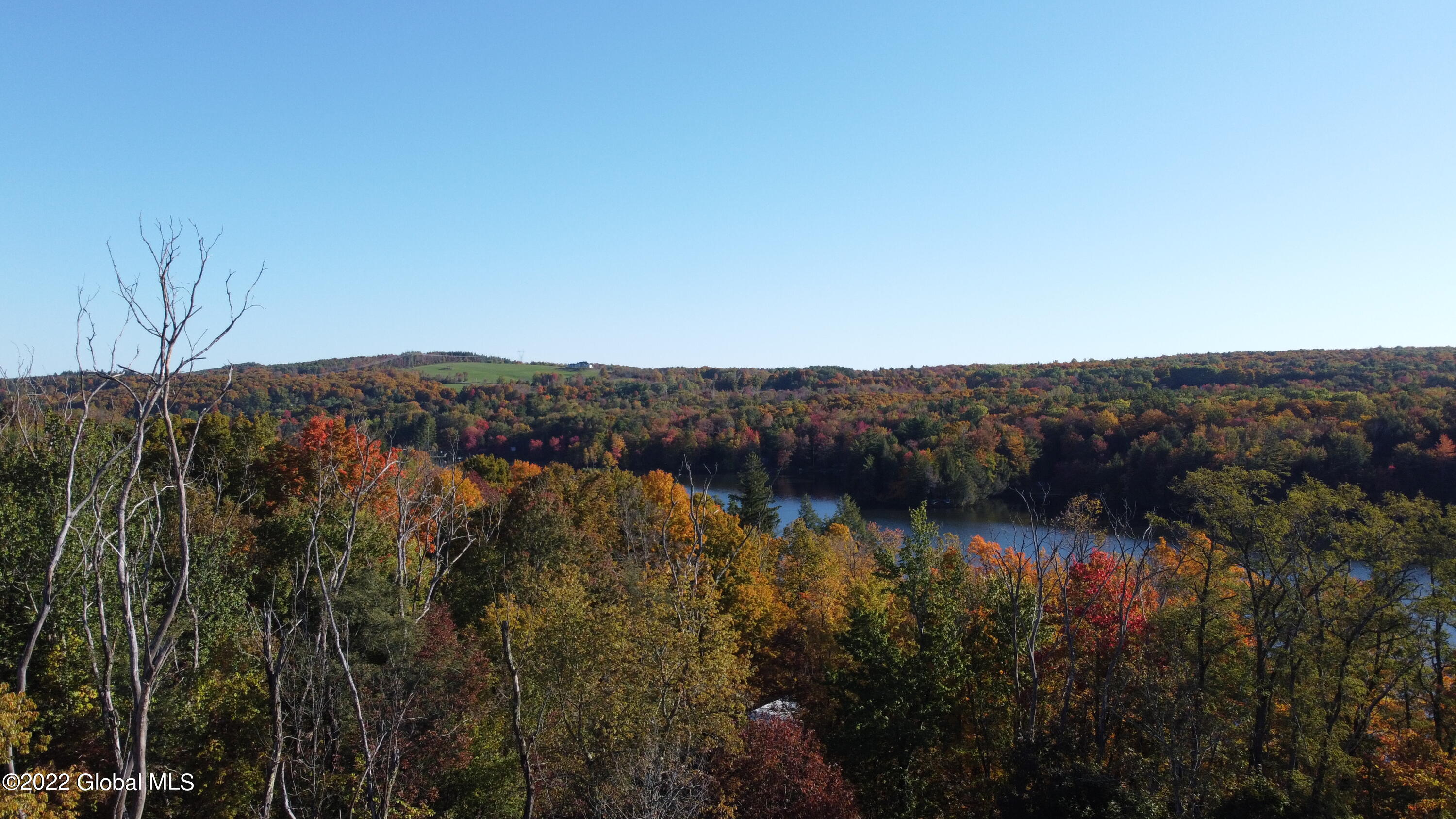 44 Abbey Road Berne, NY 12023 - Photo 8 of 118 DJI_0182