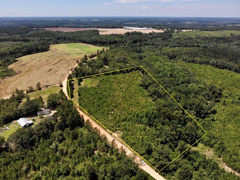 5-acres Old Elba Road Coffee Springs, AL 36318 - Photo 9 of 18