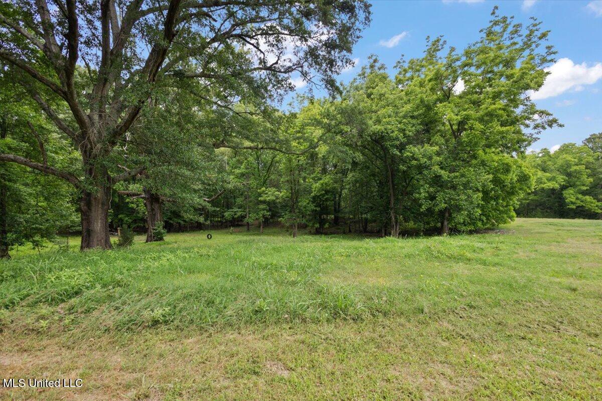 5375 Good Hope Road Edwards, MS 39066 - Photo 34 of 46 35-HTP23456