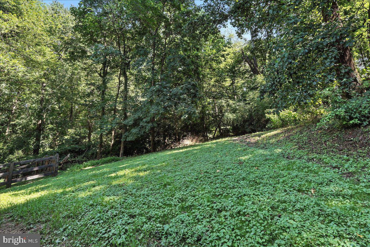 5757 Elkridge Heights Road Elkridge, MD 21075 - Photo 37 of 43 a view of a green field with lots of bushes