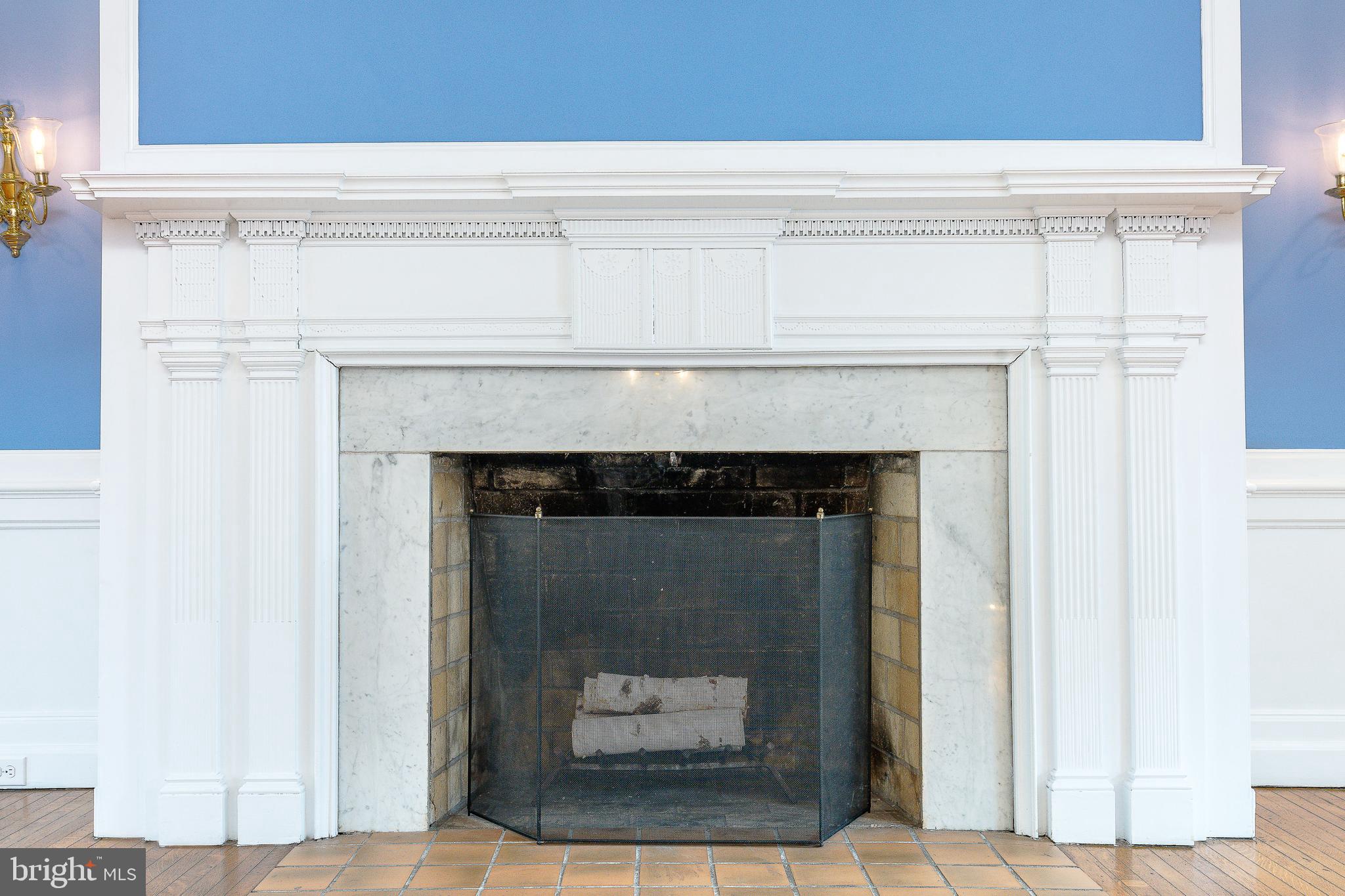 1336 Gypsy Hill Road Lower Gwynedd, PA 19002 - Photo 48 of 85 Decorative Fireplace