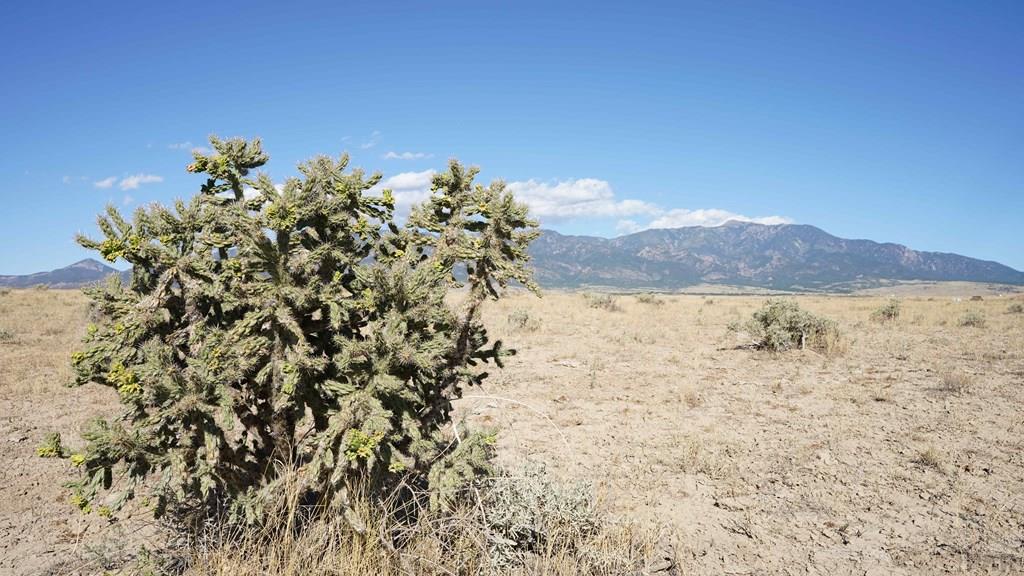 1891 Bennett Road Rye, CO 81069 - Photo 18 of 24
