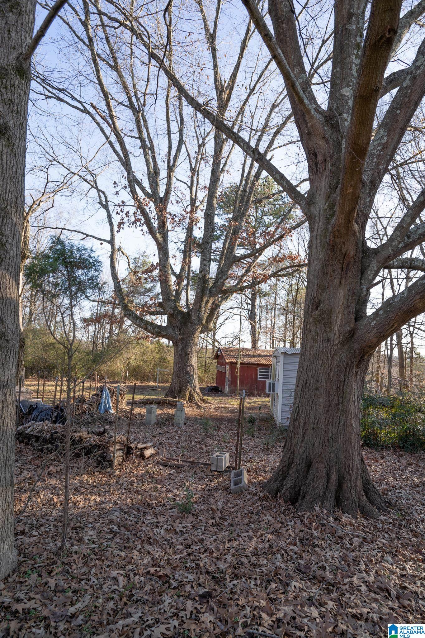 1224 School Road Southeast Bessemer, AL 35022 - Photo 9 of 72