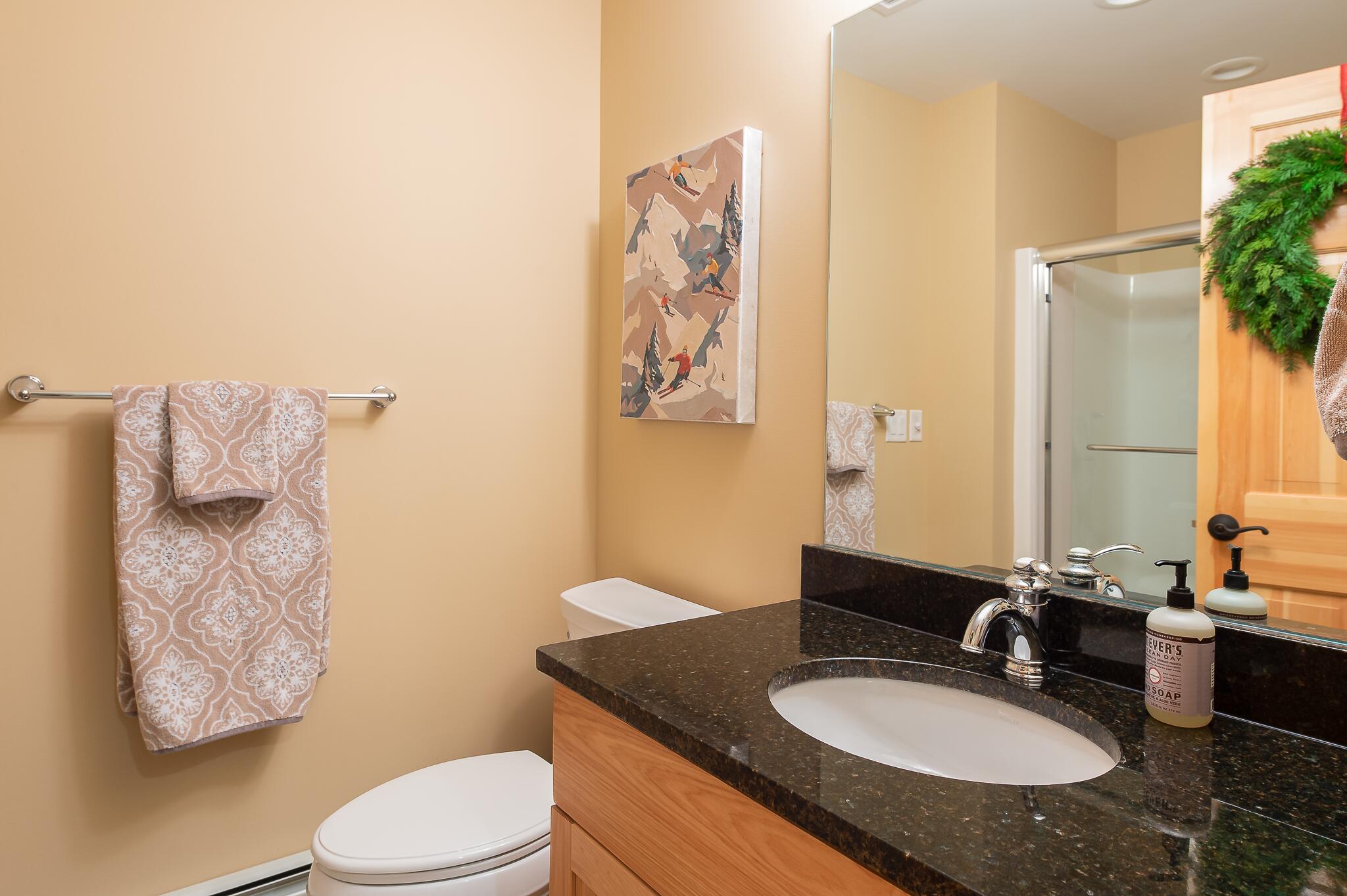 4 Underpass Lane, Unit 4 Newry, ME 04261 - Photo 19 of 34 DSC_2879-Edit