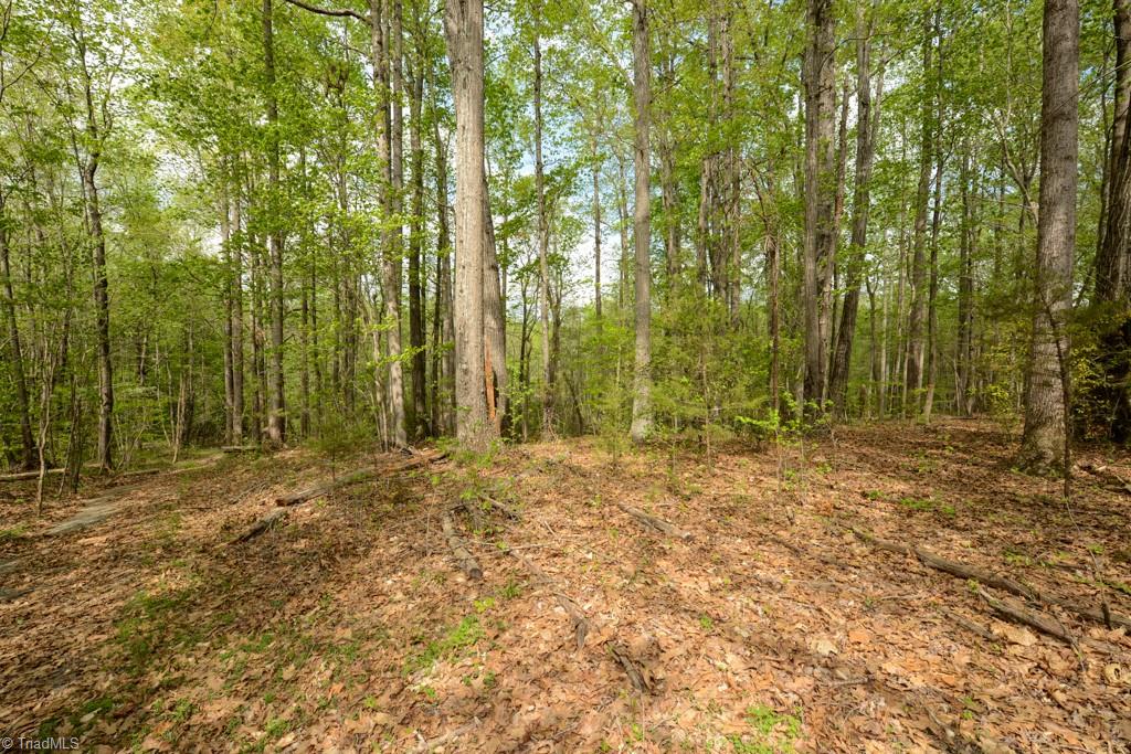 115 Danner Road Mocksville, NC 27028 - Photo 28 of 48 Gallery Image 28