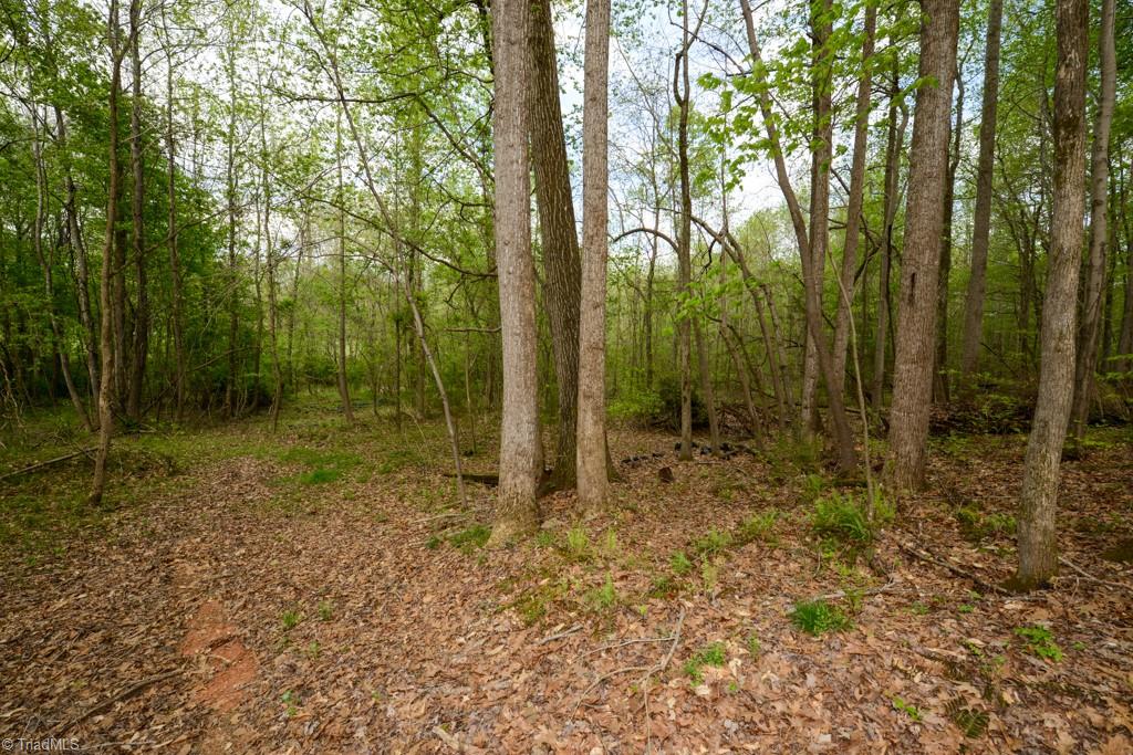 115 Danner Road Mocksville, NC 27028 - Photo 29 of 48 Gallery Image 29