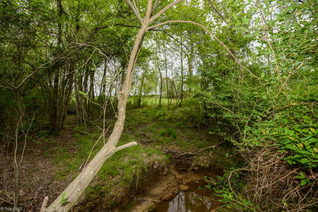 115 Danner Road Mocksville, NC 27028 - Photo 31 of 48 Gallery Image 31