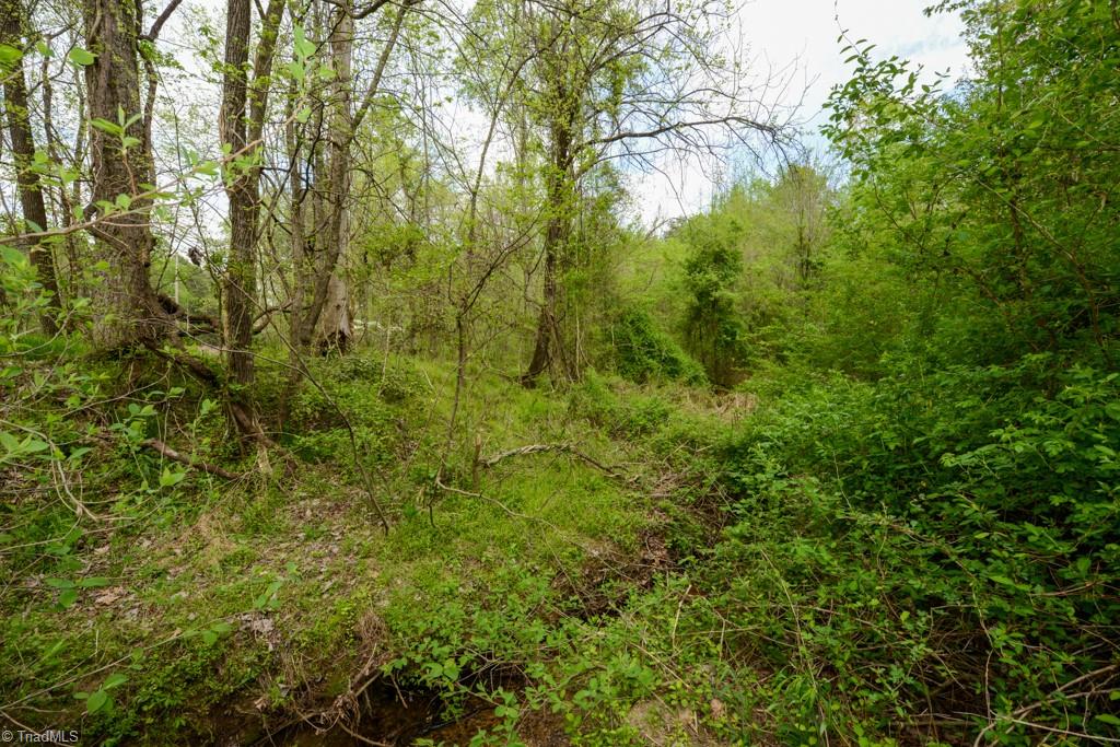 115 Danner Road Mocksville, NC 27028 - Photo 34 of 48 Gallery Image 34