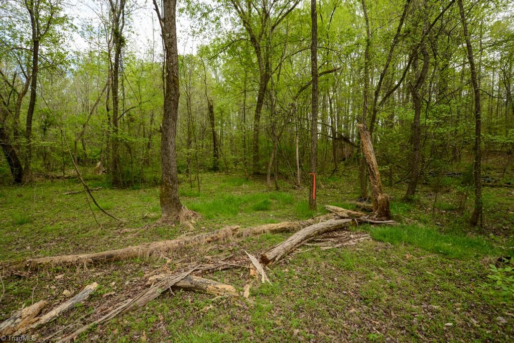 115 Danner Road Mocksville, NC 27028 - Photo 35 of 48 Gallery Image 35