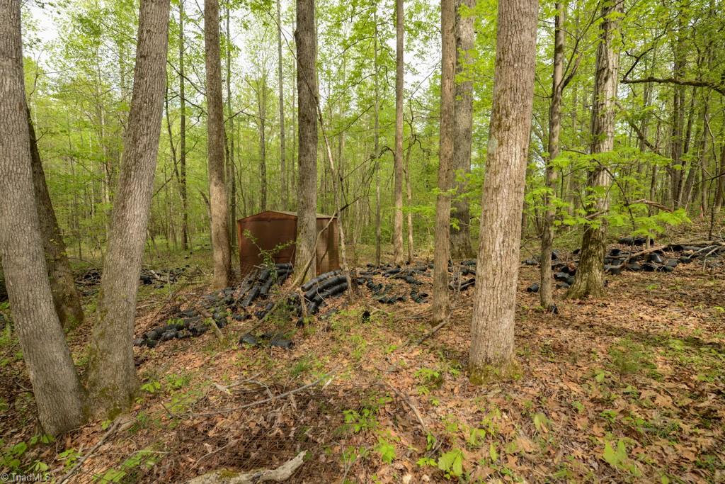 115 Danner Road Mocksville, NC 27028 - Photo 38 of 48 Gallery Image 38