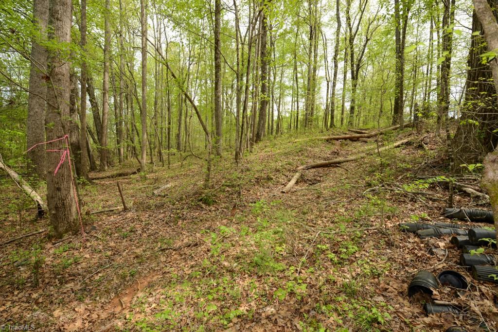 115 Danner Road Mocksville, NC 27028 - Photo 41 of 48 Gallery Image 41