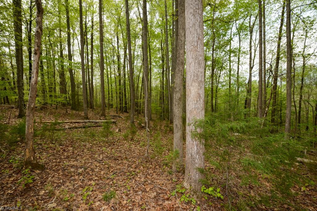 115 Danner Road Mocksville, NC 27028 - Photo 43 of 48 Gallery Image 43