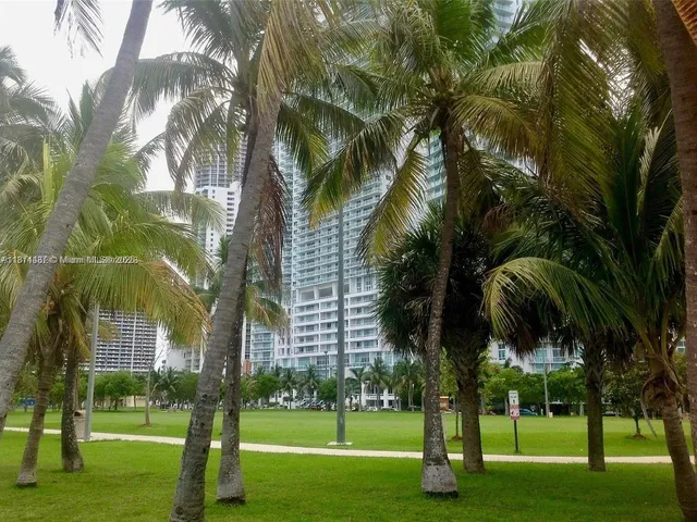 a view of a park with palm trees