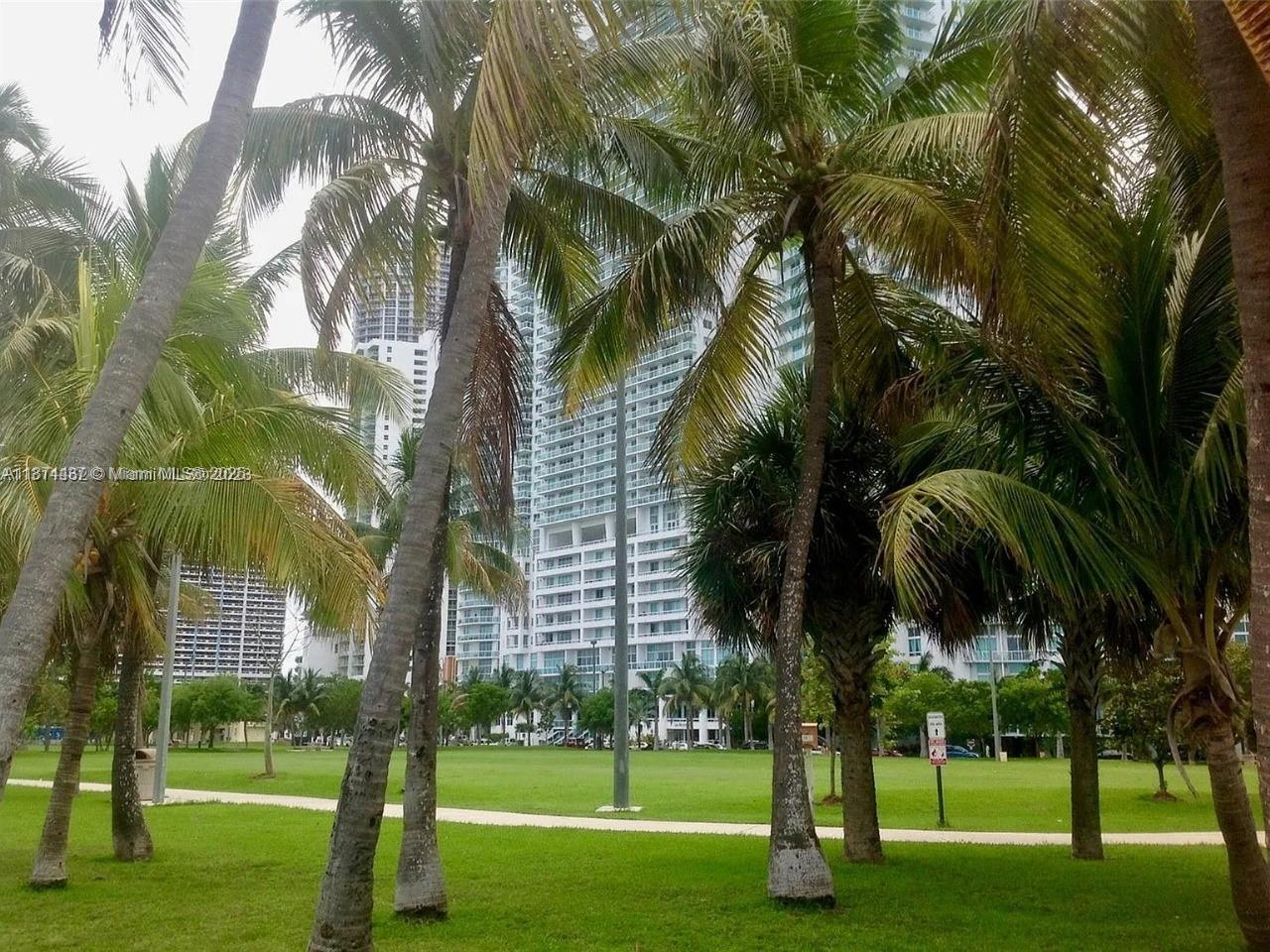 1900 North Bayshore Drive, Unit 3507 Miami, FL 33132 - Photo 19 of 22 a view of a park with palm trees
