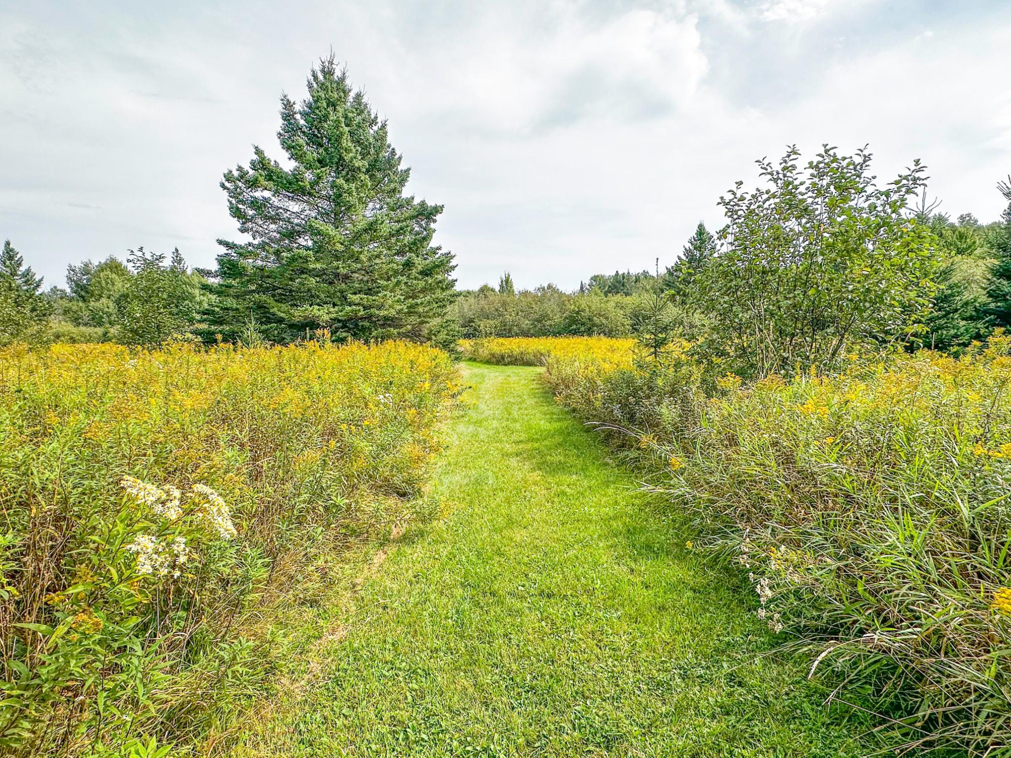 N5560 Rusk Road Hawkins, WI 54530 - Photo 5 of 51 Gallery Image 5