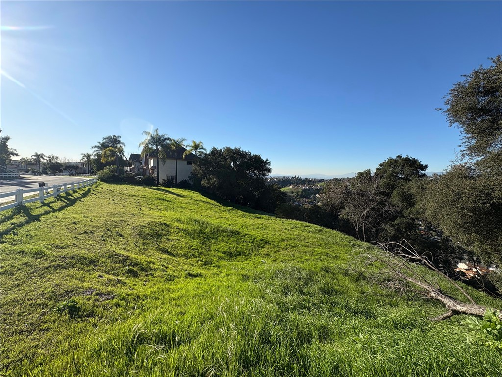 22455 Ridge Line Road Diamond Bar, CA 91765 - Photo 2 of 13