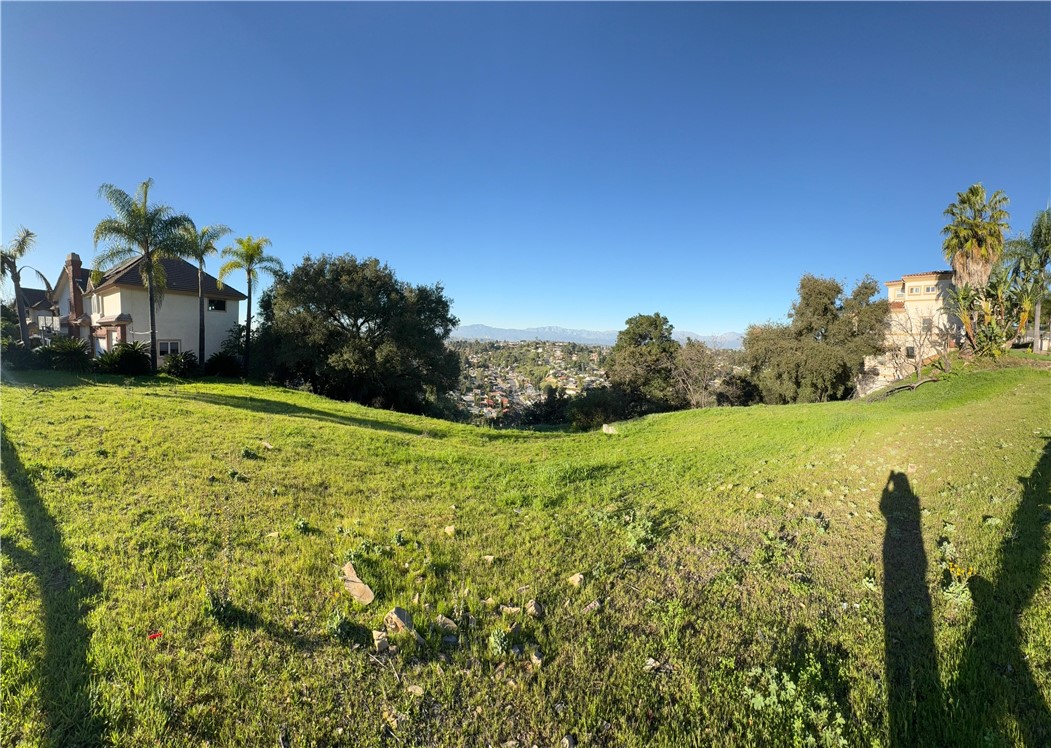 22455 Ridge Line Road Diamond Bar, CA 91765 - Photo 3 of 13 a view of a garden with a building in the background