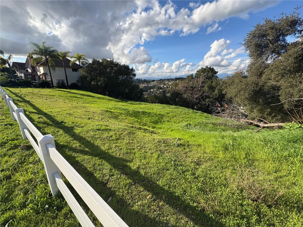 22455 Ridge Line Road Diamond Bar, CA 91765 - Photo 6 of 13 a view of a big yard with potted plants and large trees