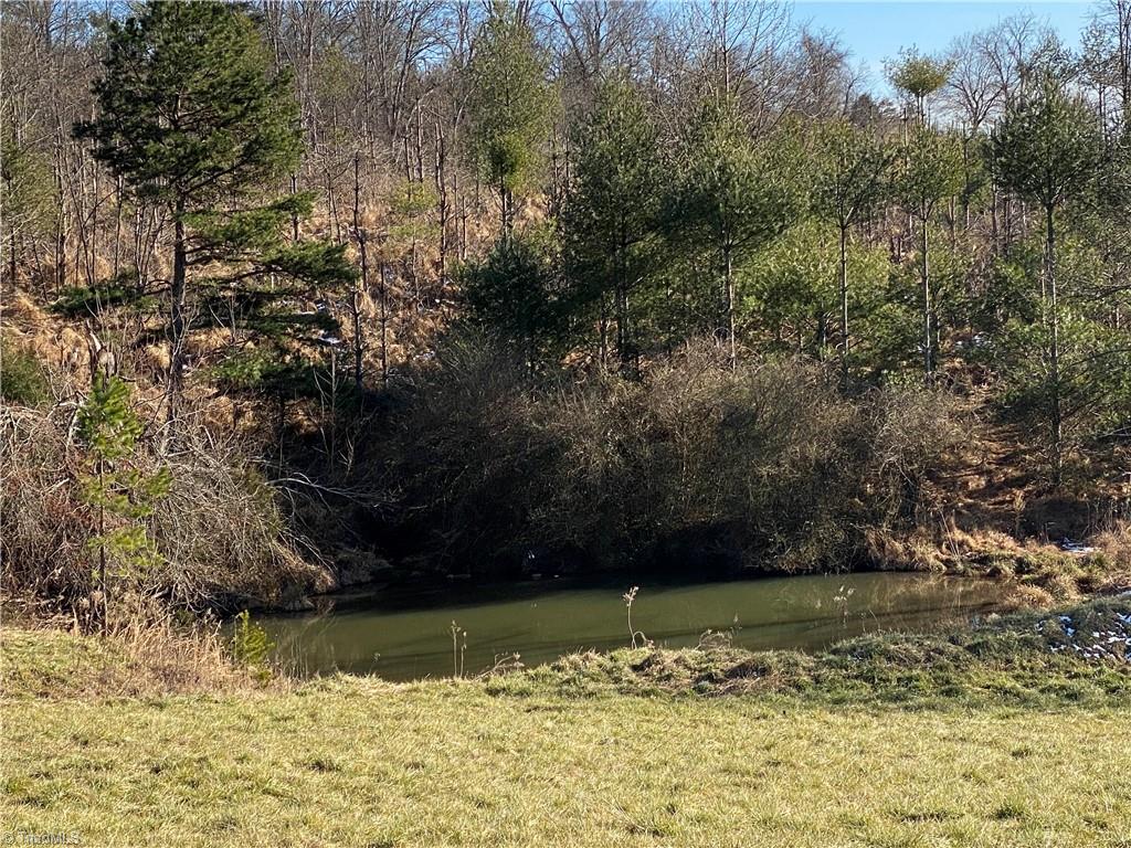 Tbd Grassy Fork Road Elkin, NC 28621 - Photo 23 of 31 Gallery Image 23