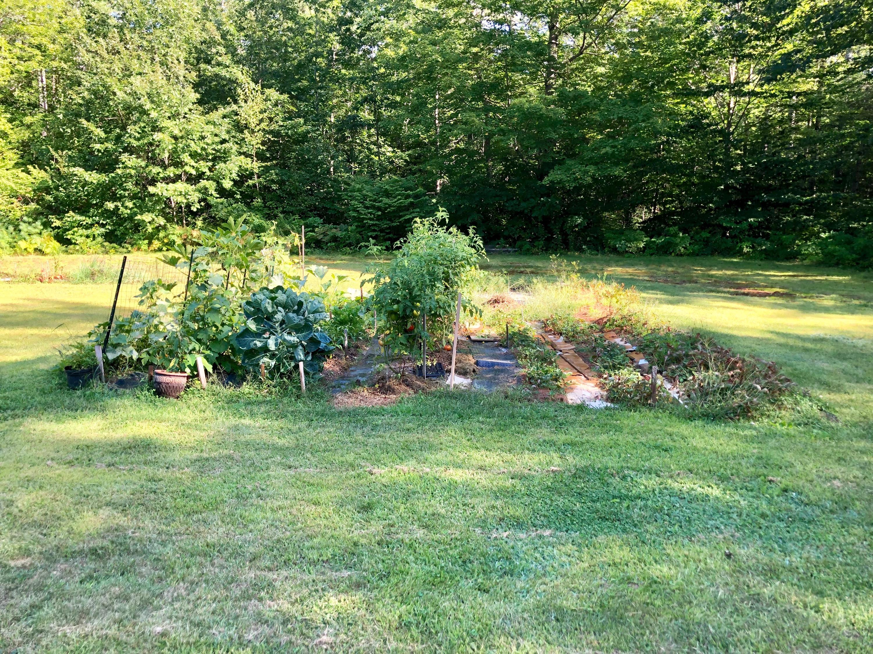 96 Snow Hill Road New Gloucester, ME 04260 - Photo 21 of 33 Gardening Anyone?