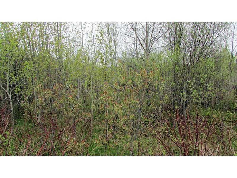 2 Mouse Island Road Perham, ME 04766 - Photo 2 of 8 Land/Lot.