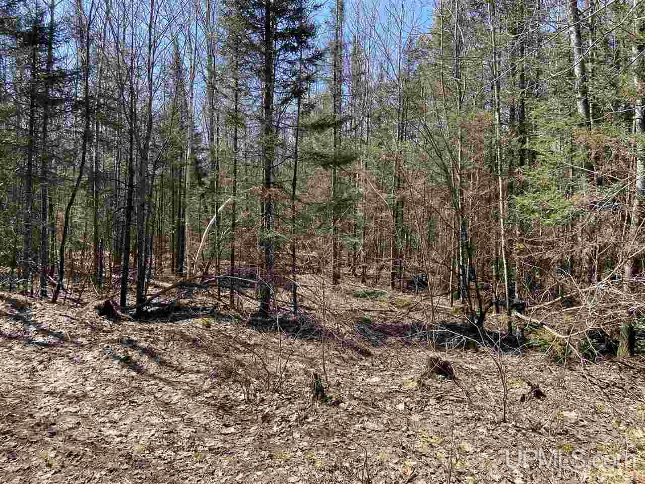 Tbd Tbd Off Powerline Gwinn, MI 49841 - Photo 20 of 28
