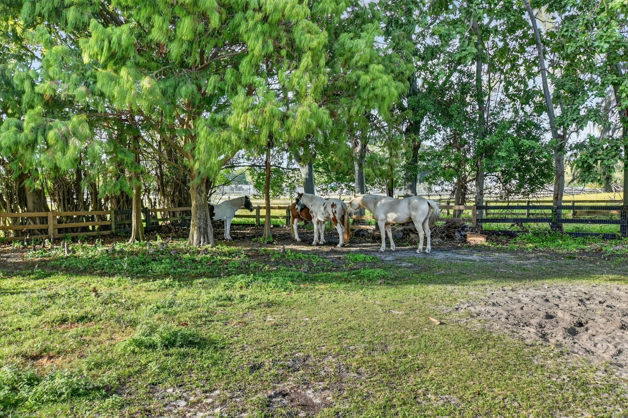 8233 Stagecoach Lane Boca Raton, FL 33496 - Photo 83 of 88 Photo 83