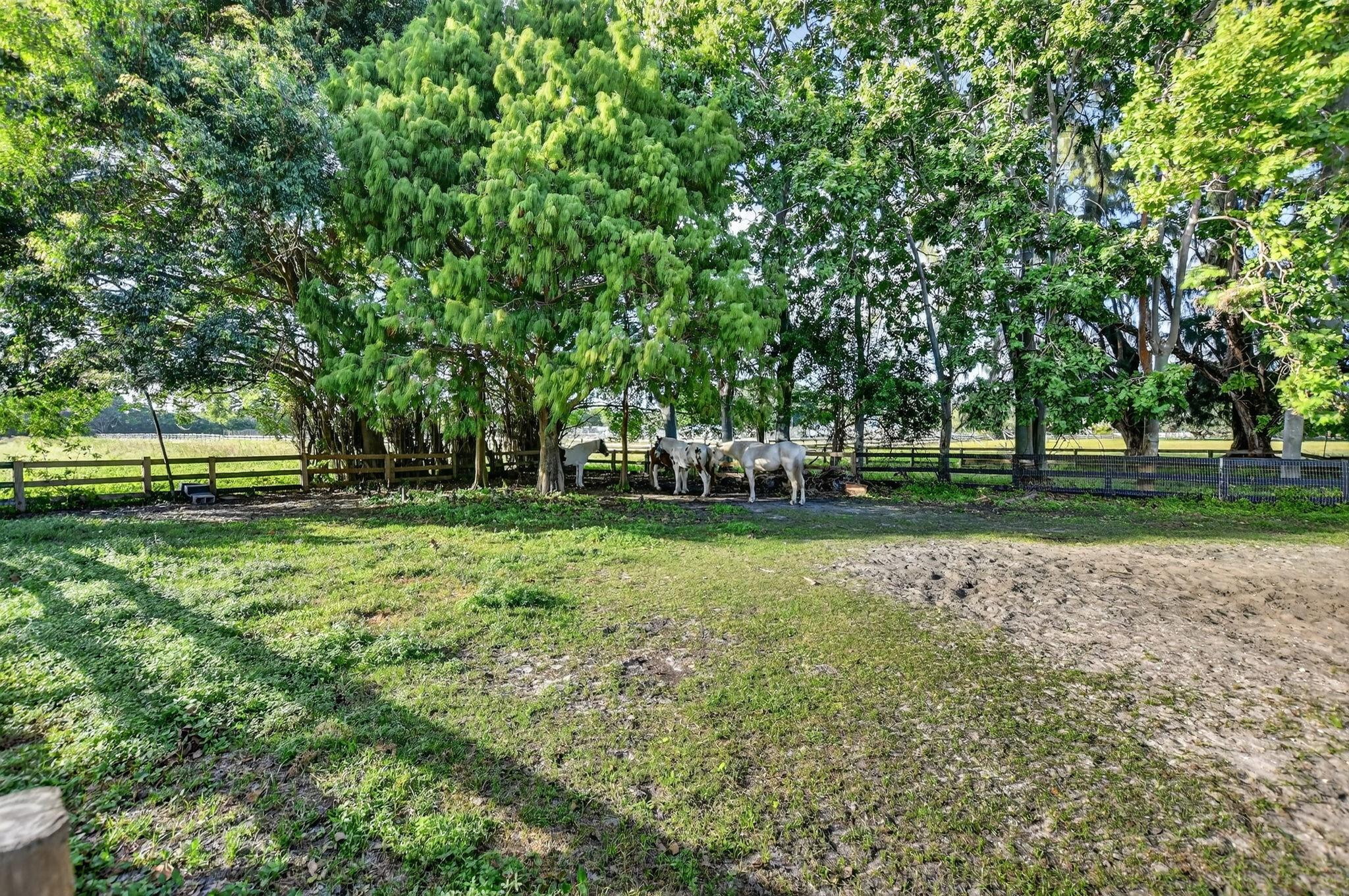 8233 Stagecoach Lane Boca Raton, FL 33496 - Photo 84 of 88 Photo 84