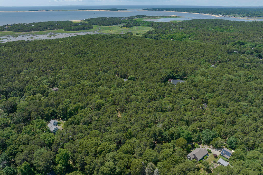 30 Amy's Way Wellfleet, MA 02667 - Photo 59 of 64 a view of a lush green forest with a houses
