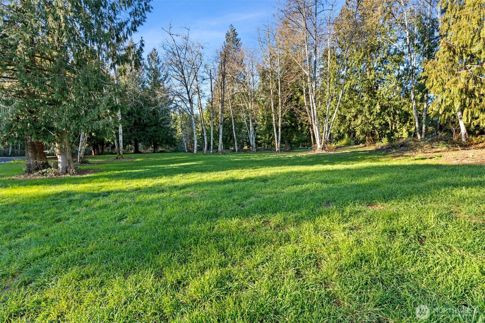 107 Odella Lane Chehalis, WA 98532 - Photo 32 of 37 a view of a park with large trees